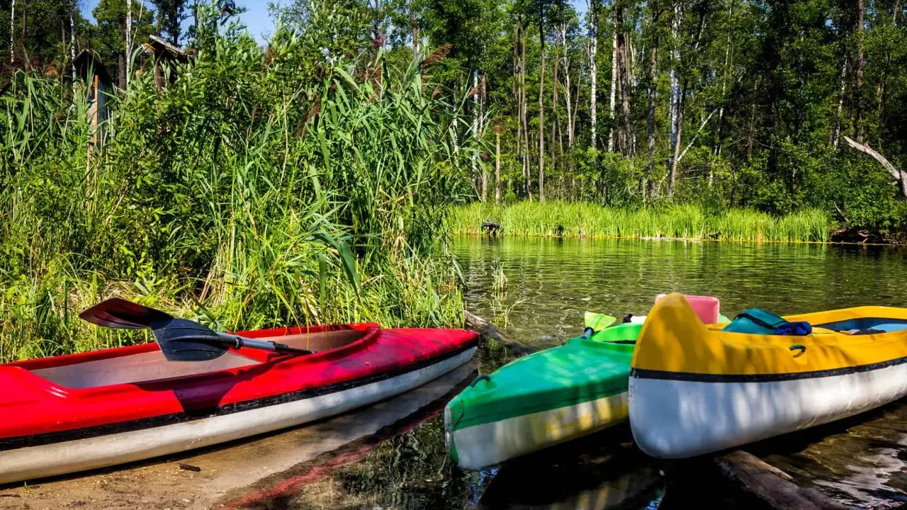 Trzy kolorowe kajaki czekają na brzegu rzeki Krutynia. Woda odbija zieleń drzew i niebo.