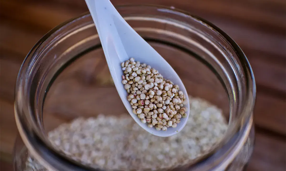 Eine Löffelspitze voller Quinoa, dem gesunden Korn, das in einem Glas aufbewahrt wird.