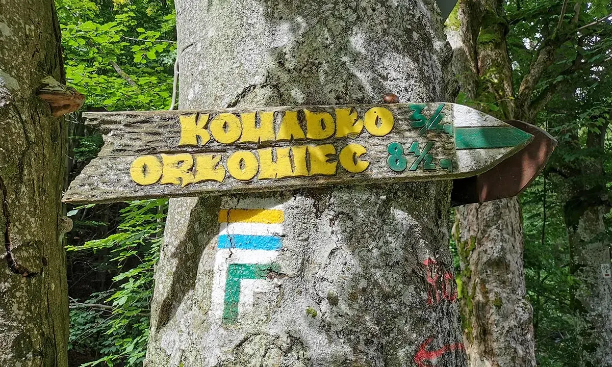 Drewniany drogowskaz "Kowadło 3½, Orłowiec 8½" na drzewie w lesie. Obok znak szlaku turystycznego.
