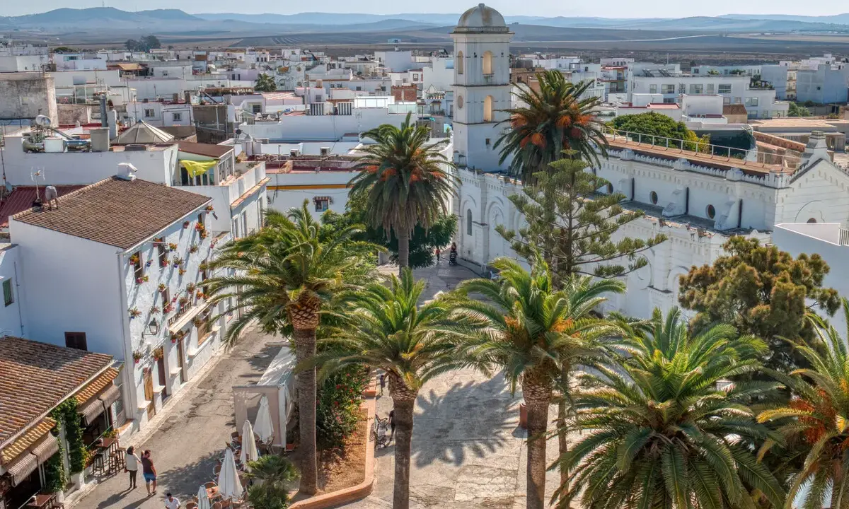 Vista aérea de Conil de la Frontera, con palmeras y edificios blancos. Ideal para saber qué ver en Conil.