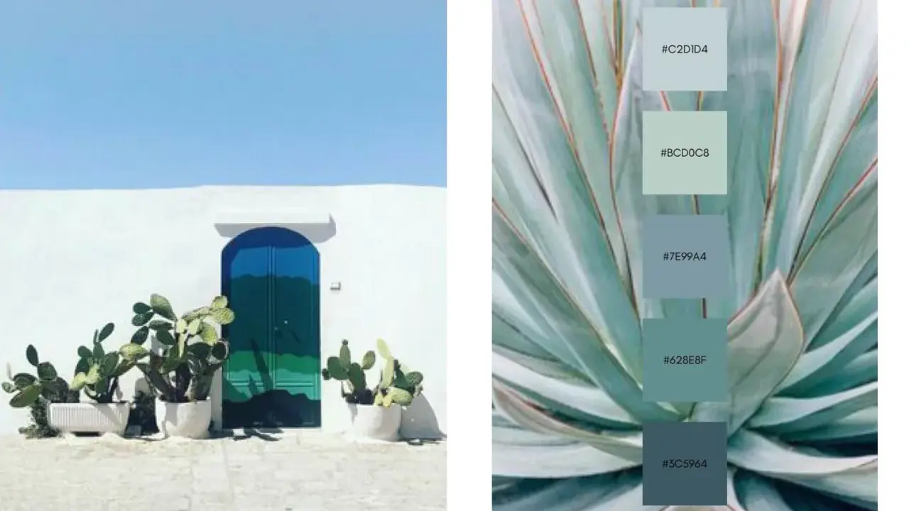 Puerta azul vibrante y cactus frente a pared blanca, junto a una paleta de colores que muestra el color complementario del verde en tonos azulados y verdosos.