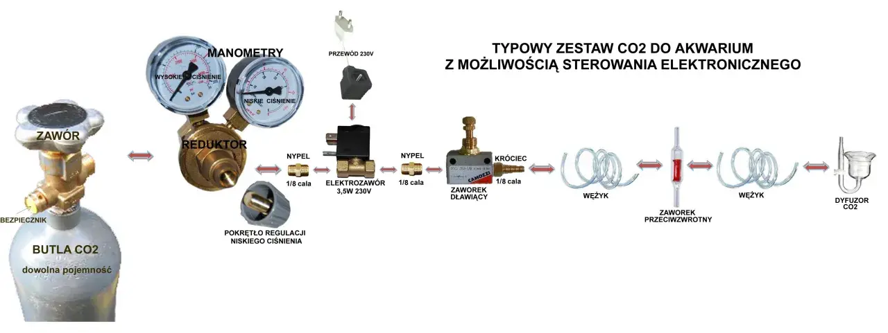 Schemat zestawu do podawania CO2 w akwarium: butla, reduktor, elektrozawór, wężyk, dyfuzor.