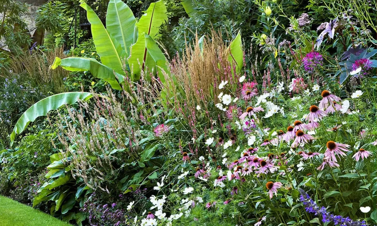 Un magnifique modele jardin exotique avec de grandes feuilles vertes, des fleurs roses et blanches, et des graminées.