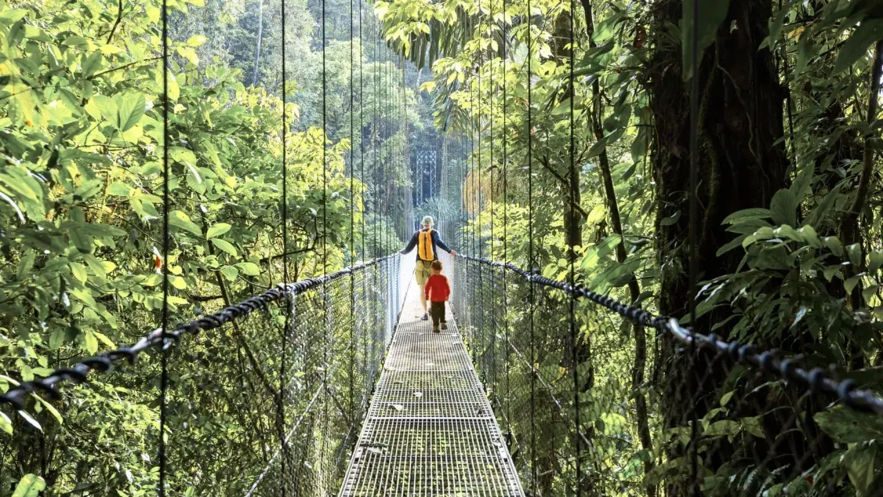 Un adulto y un niño caminan por un puente colgante en la exuberante selva de Costa Rica con niños, disfrutando de la aventura.