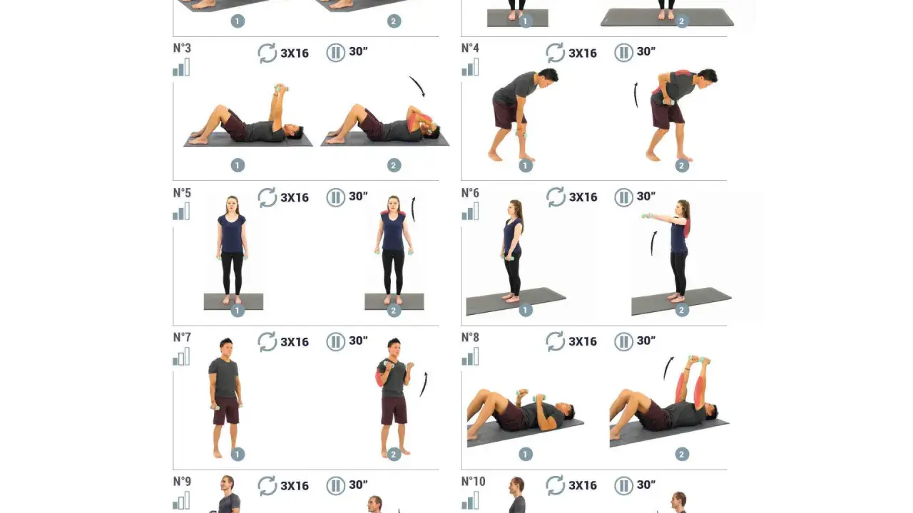 Guide d'exercices avec haltères à la maison : mouvements au sol, debout et fentes pour un entraînement complet.