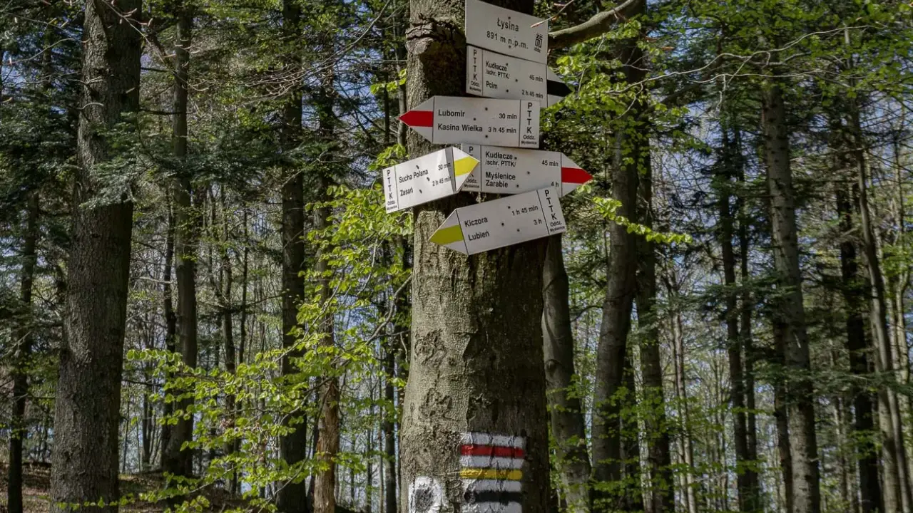 Leśny drogowskaz na trasie lubomir. Wskazuje kierunki do Kudłaczy, Kasiny Wielkiej, Myślenic i innych.