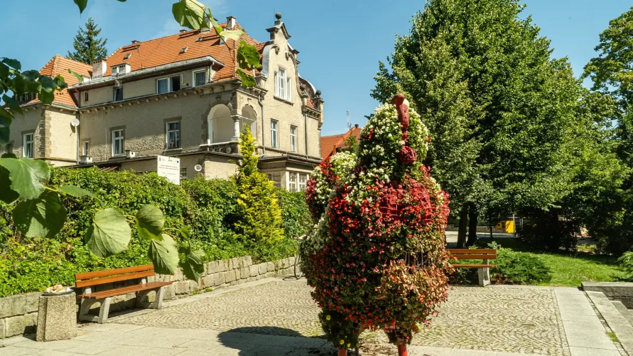 Kwiatowa rzeźba pawia wita gości w Dusznikach Zdroju. W tle zabytkowa willa i bujna zieleń.