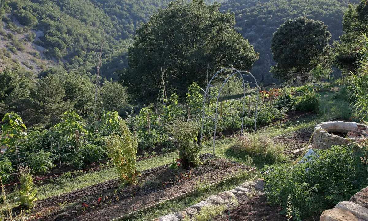 Un potager en pente raide, avec des rangées de légumes et une arche métallique, s'étend sur un flanc de colline verdoyant.