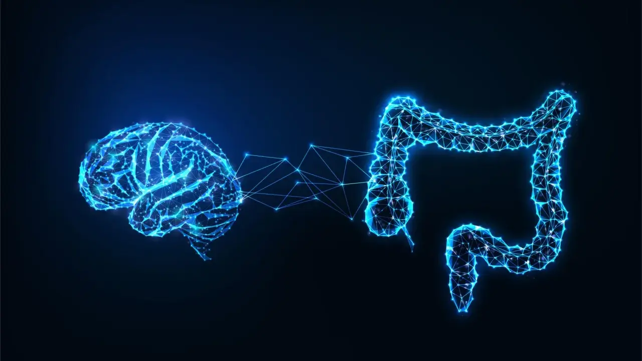 Rappresentazione stilizzata del cervello e dell'intestino collegati da una rete luminosa, che illustra l'asse intestino cervello.