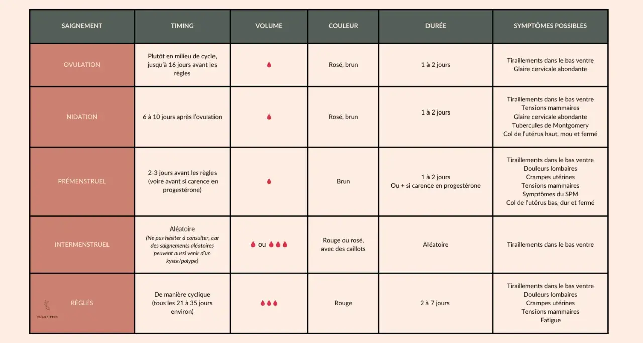 Tableau comparant différents types de saignements : ovulation, nidation, prémenstruel, intermenstruel, règles. Chaque type est décrit par son timing, volume, couleur, durée et symptômes possibles.