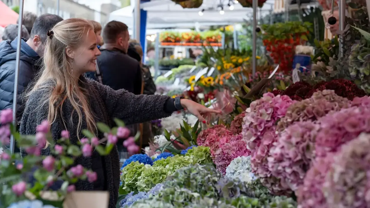 Une jeune femme admire la taille des hortensias Vanille Fraise sur un marché aux fleurs.