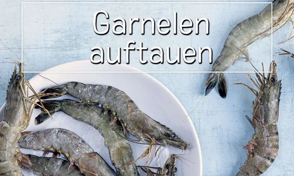 Gefrorene Garnelen auf einem Teller. Erfahren Sie, wie lange Garnelen zum Auftauen brauchen, um sie frisch zuzubereiten.