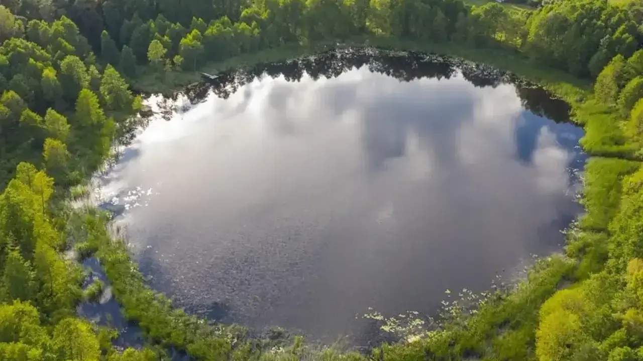 Malownicze jezioro Wójtowskie otoczone bujną zielenią lasów i trzcin.