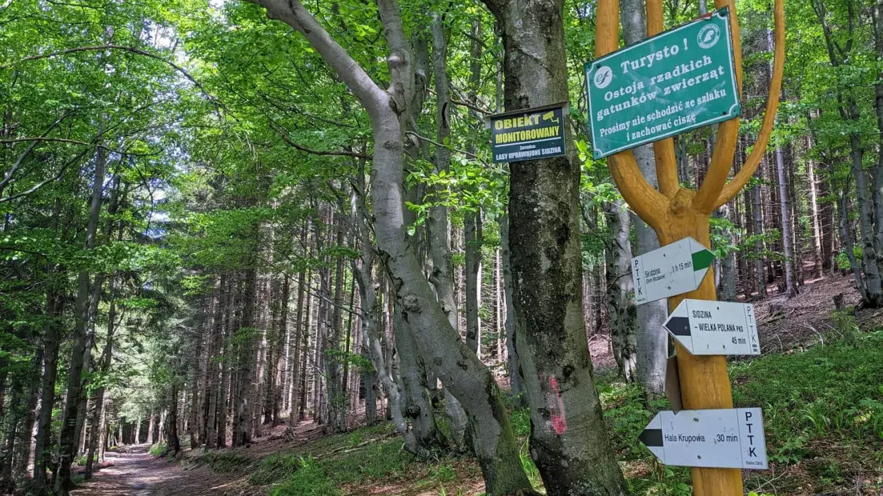 Leśna ścieżka prowadzi do Hali Krupowej. Znaki wskazują trasę i informują o ostoi zwierząt.