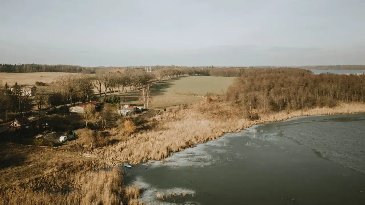 Zimowy krajobraz nad pniewy jezioro. Widać zamarznięte brzegi, trzciny, las i zabudowania.