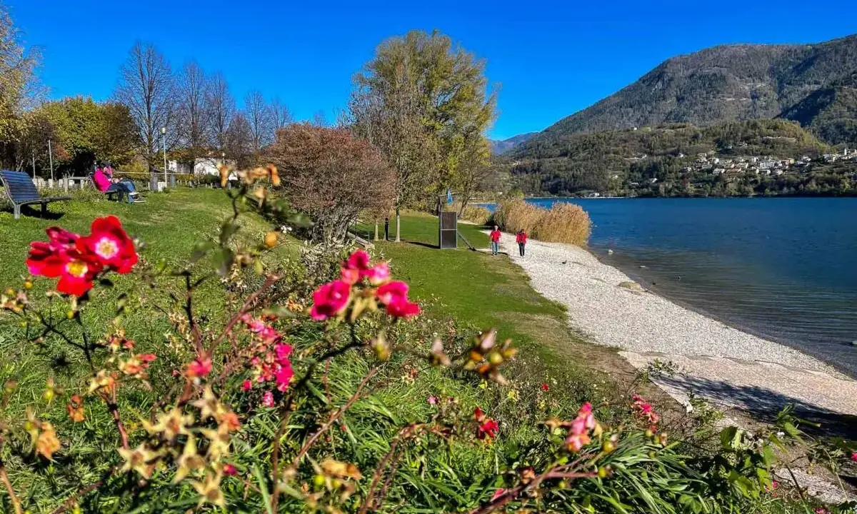 Fiori rossi in primo piano, poi un prato verde con persone sedute su una panchina e due che passeggiano lungo il lago di Caldonazzo.
