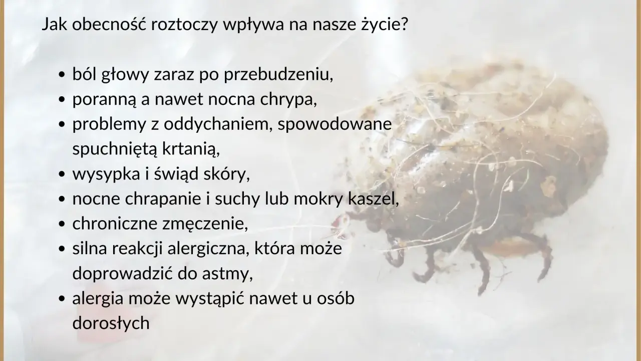 Roztocza, niewidoczny kurz, wywołują alergie, bóle głowy, problemy z oddychaniem i kaszel.