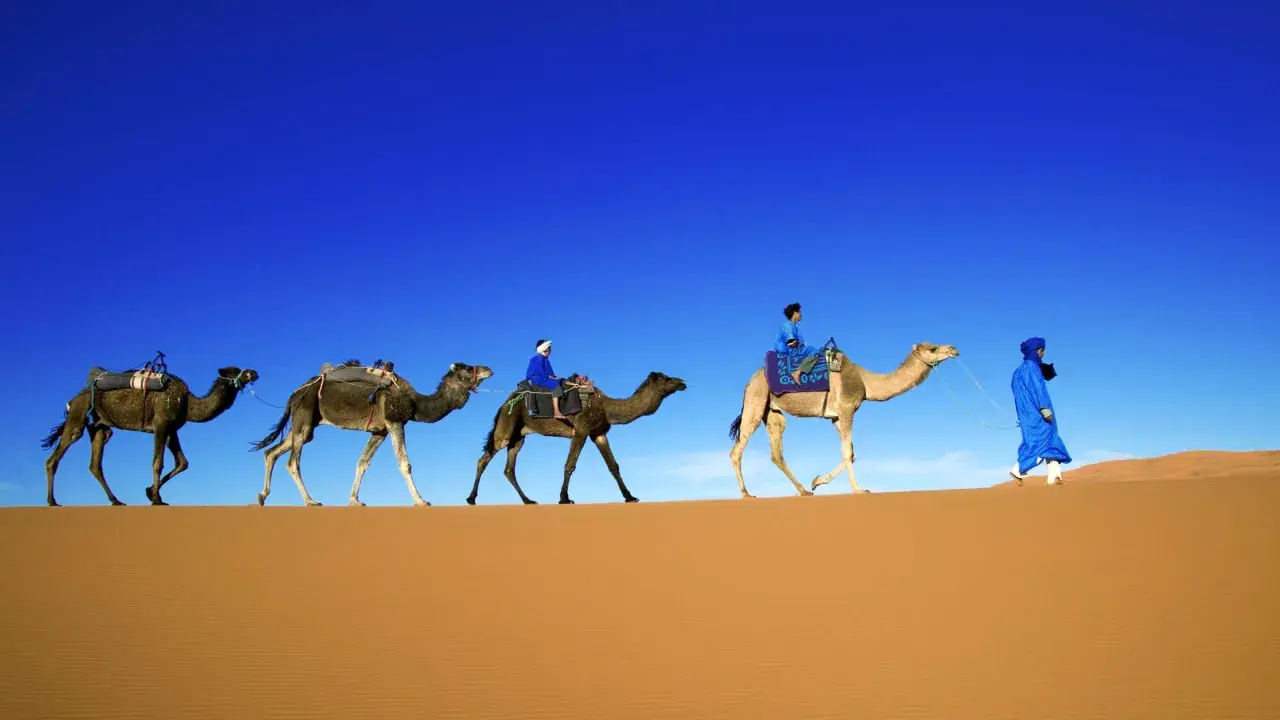 Ein Berberstamm in der Sahara durchquert die Dünen. Kamele mit Reitern und Gepäck ziehen unter blauem Himmel.