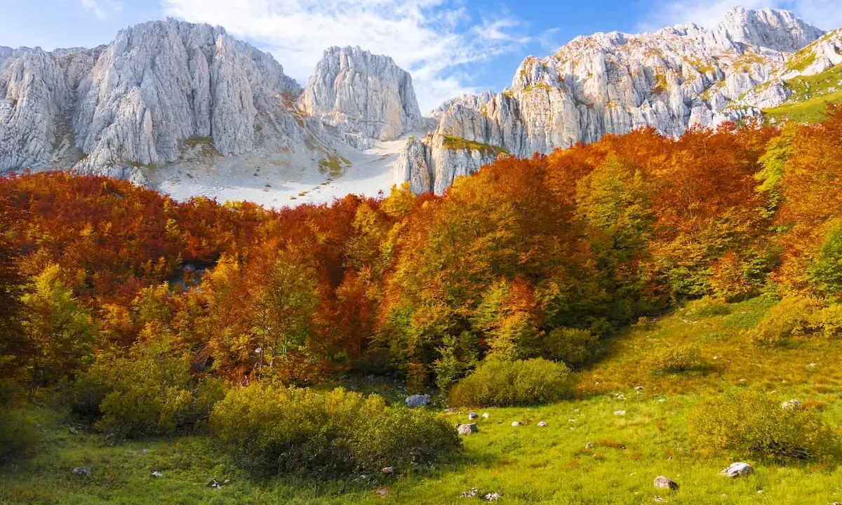 Un bosco incantato di **mozzafiato paesaggi autunnali italiani**, con montagne imponenti sullo sfondo e un tappeto erboso verde brillante.