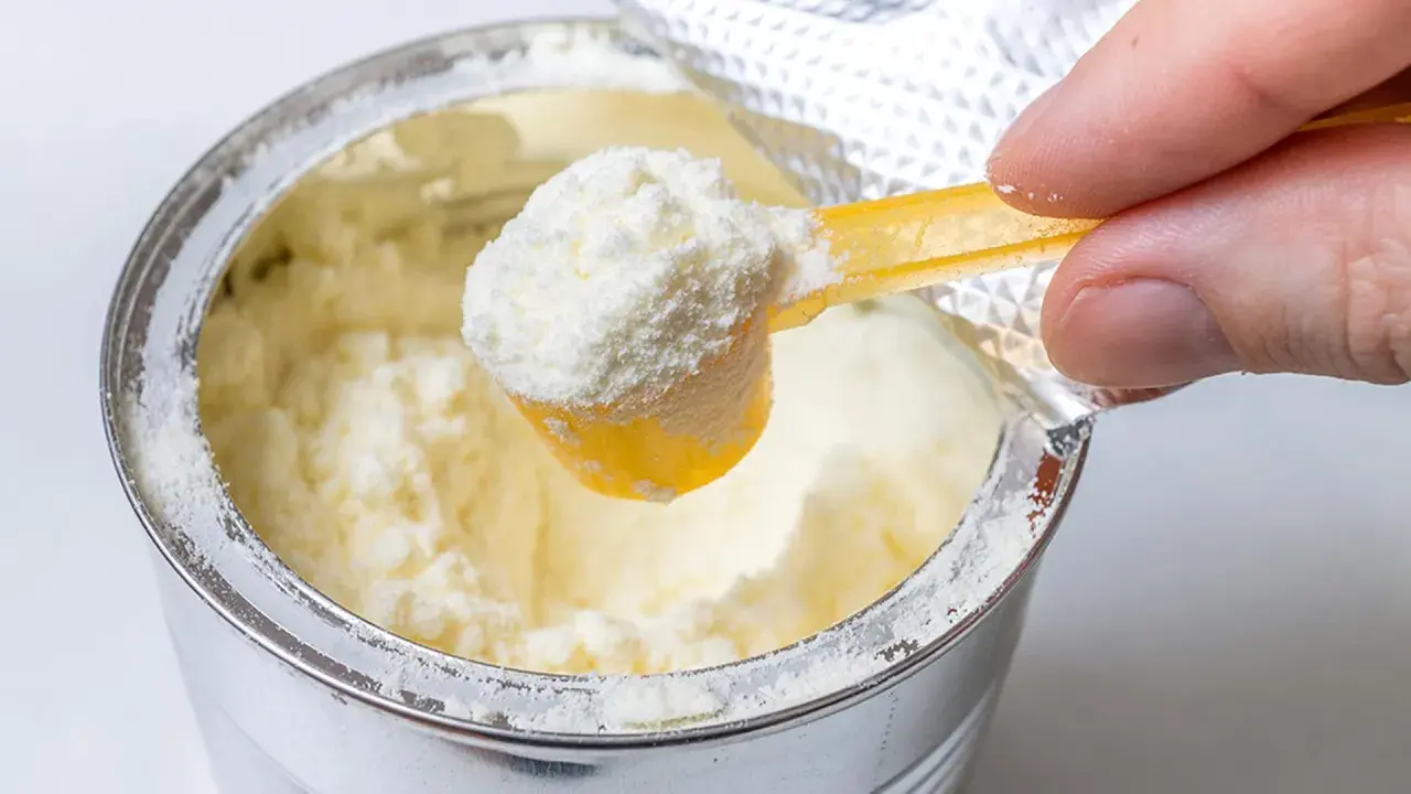 Eine Hand schöpft mit einem gelben Löffel feines Pulver aus einer Dose. Manche denken, dass Proteinpulver dick machen kann, doch es kommt auf die Menge an.