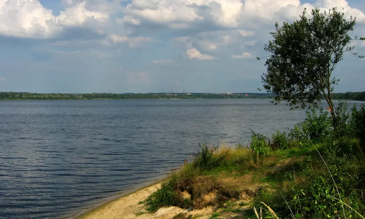 Szerokie jezioro z piaszczystym brzegiem i drzewem w oddali, pod zachmurzonym niebem.