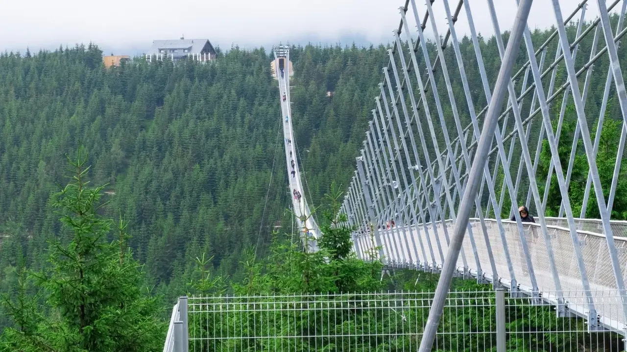 Most na Dolní Moravě, widok z góry. Sprawdź cennik i wybierz się na spacer po tej niesamowitej konstrukcji.