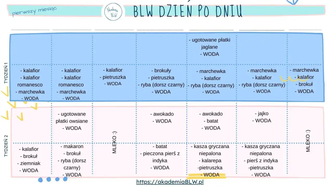 Tabela BLW: pierwszy miesiąc, tydzień 1 i 2. Jak rozszerzać dietę niemowlaka tabela z propozycjami posiłków i napojów.