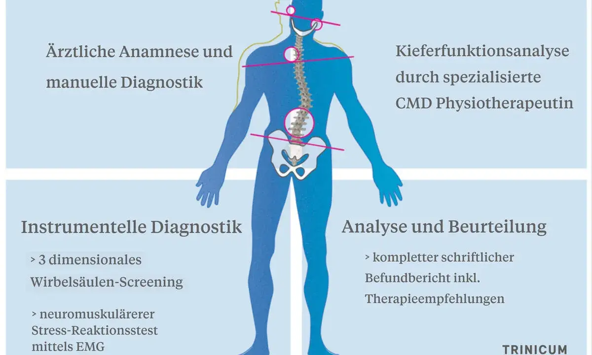 Schema zur Diagnose von Haltungsschäden, die auch den Kiefer betreffen können. Ein Bandscheibenvorfall im Kieferbereich wird hier mit anderen Diagnostiken verglichen.