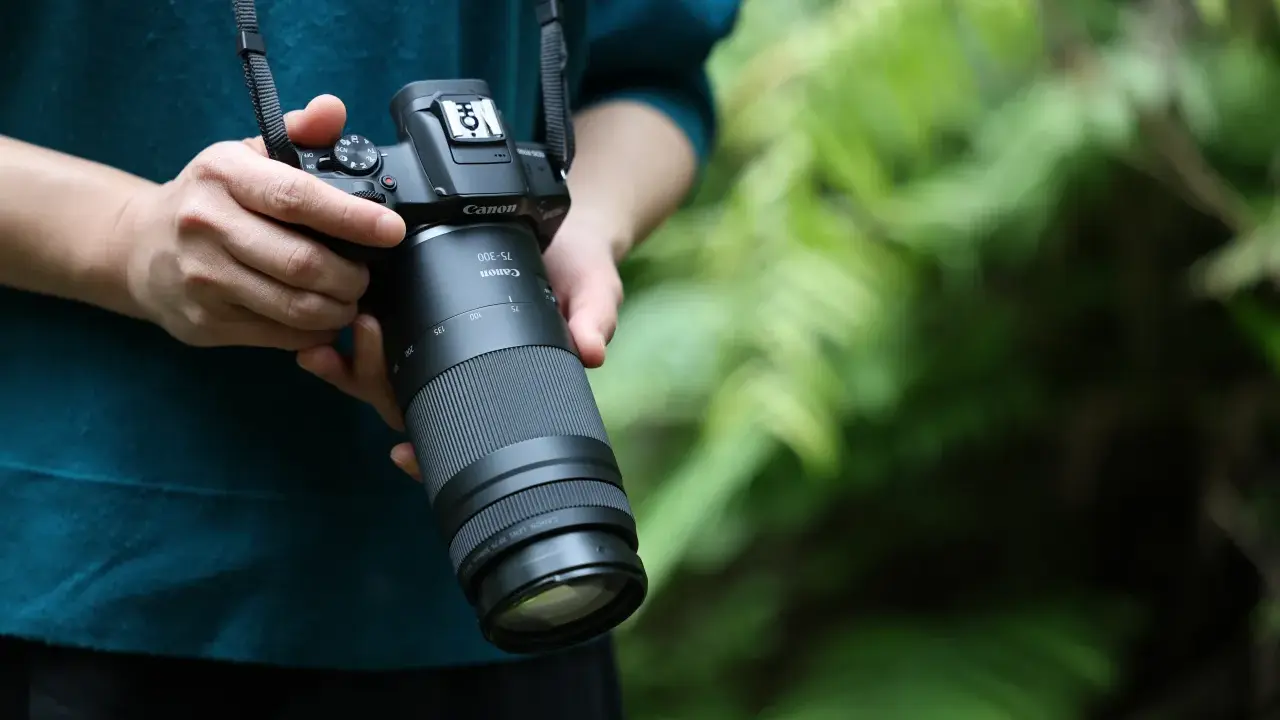 Canon 75-300mm: Do czego służy? Poradnik dla początkujących