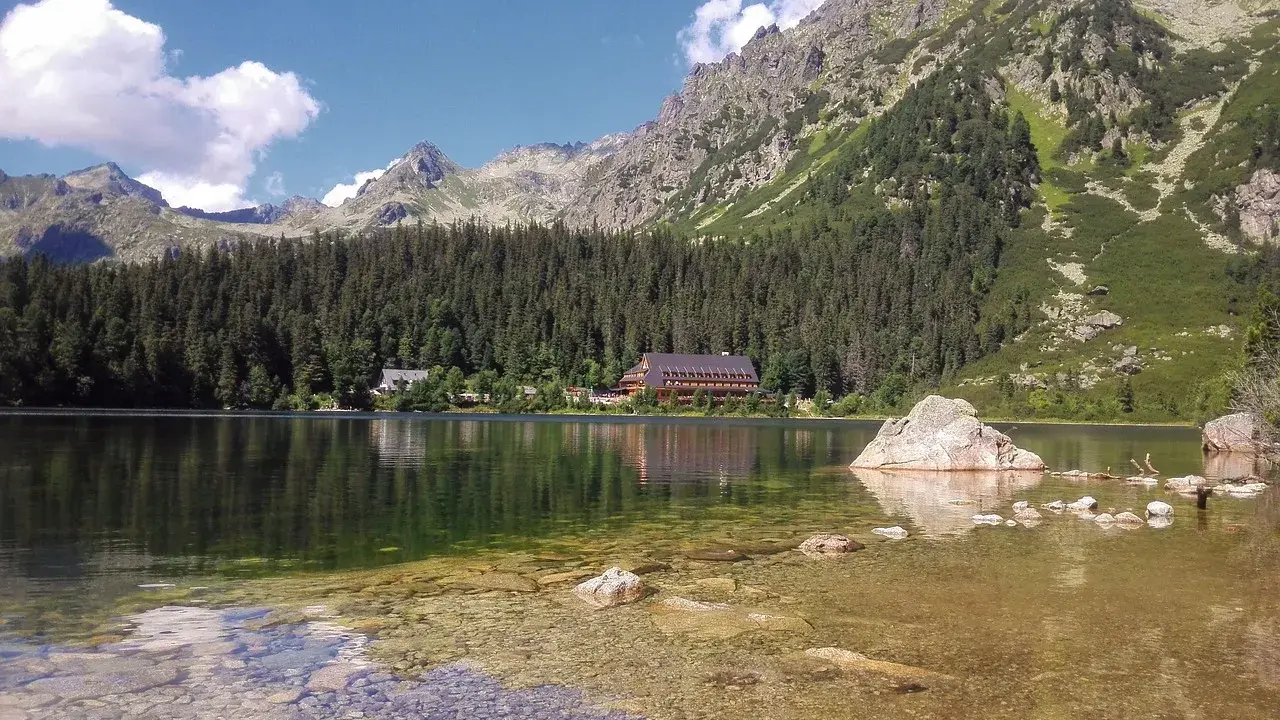Spokojne Popradske Pleso odbija góry i las. Kamienie w płytkiej wodzie tworzą ścieżkę.