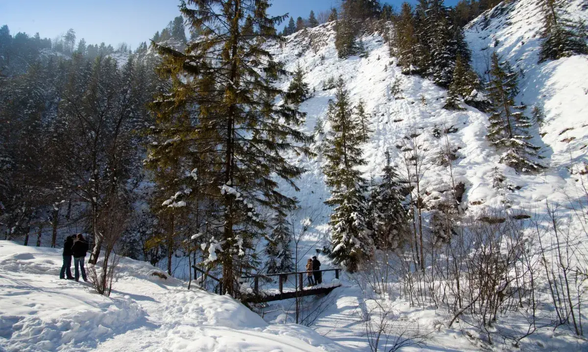 Zimowe szlaki w Pieninach. Śnieg pokrywa zbocza górskie i lasy. Kilka osób spaceruje po drewnianym mostku.