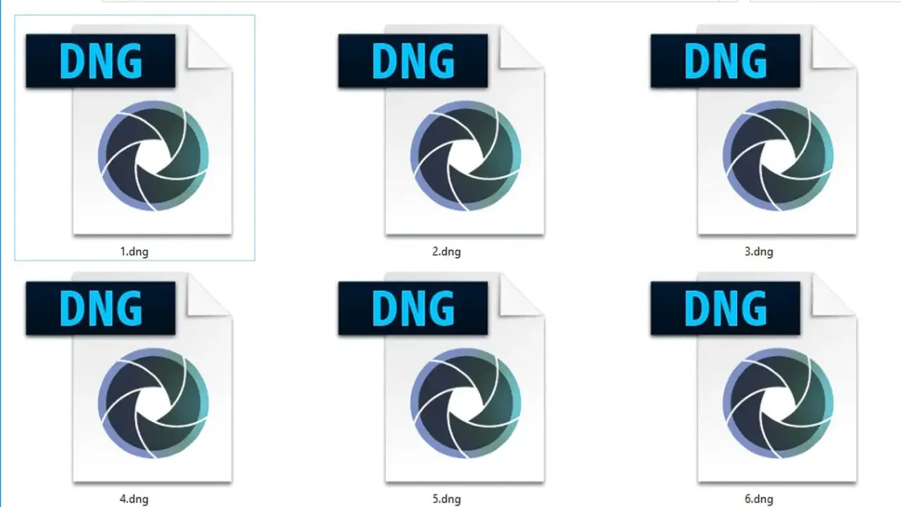 Sei file DNG, ciascuno con un'icona a forma di diaframma, sono visualizzati in una cartella di Windows.