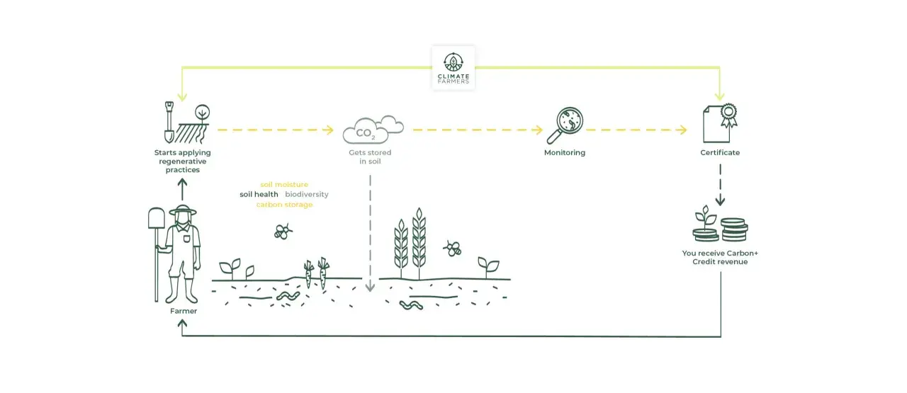 Diagram shows a farmer starting regenerative practices, leading to CO2 stored in soil. Monitoring, certification, and carbon credit revenue follow, illustrating farming carbon credits.