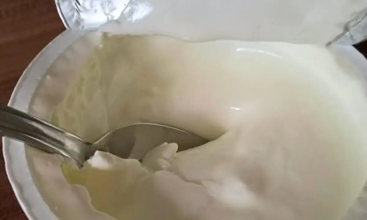 Cremiger Joghurt mit Löffel. Der Unterschied zwischen griechischem Joghurt und Joghurt griechischer Art ist die Textur.