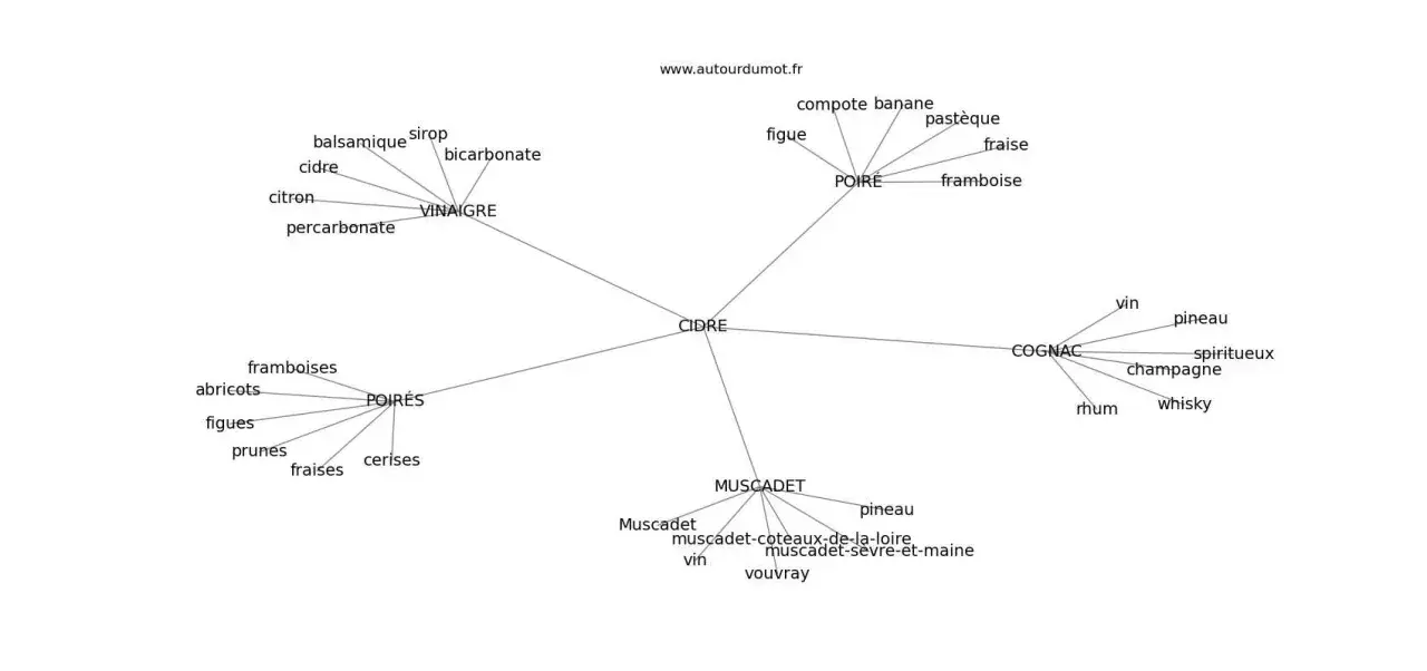 Carte mentale des synonymes et associations du mot CIDRE : poire, vinaigre, fruits, cognac, muscadet.