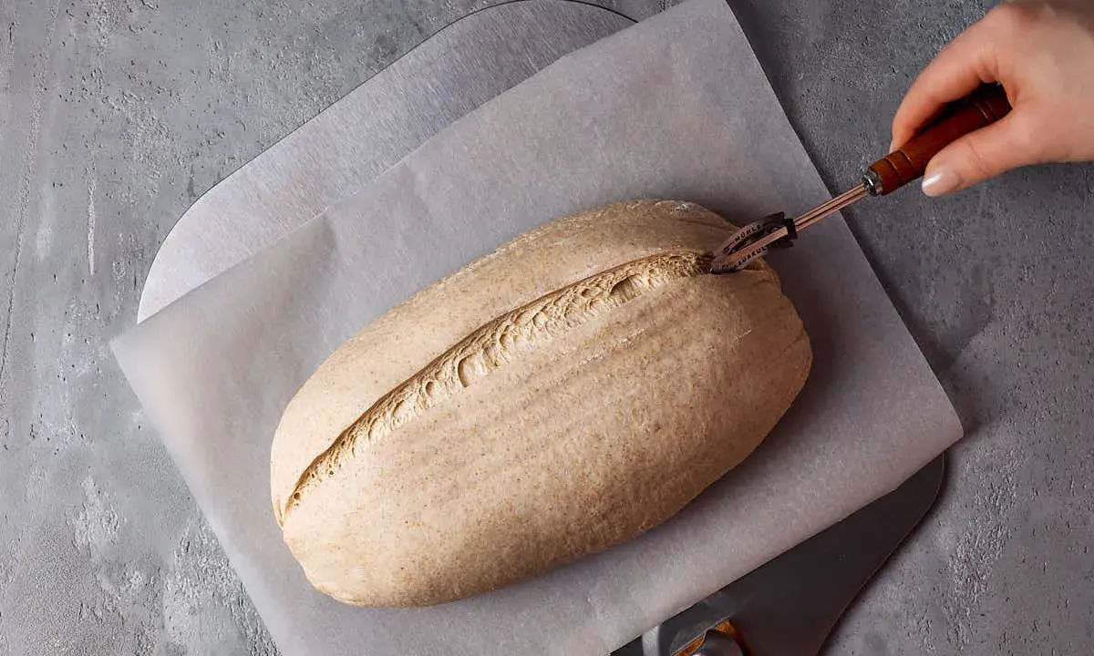 Ein Laib Brot wird mit einem Bäckermesser eingeschnitten, bereit zur Zubereitung mit Sauerteigpulver.