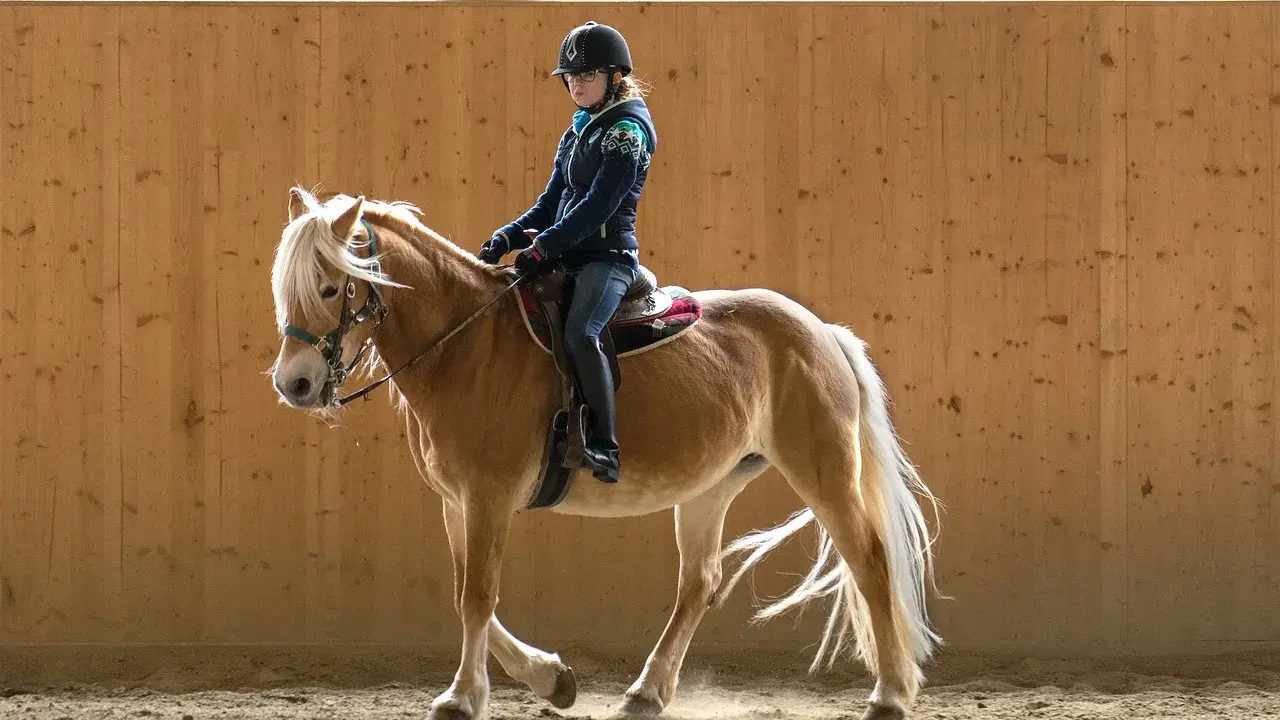 Reiterin mit Helm und Pferd in Reithalle. Beachten Sie die Bahnregeln beim Reiten für Sicherheit und Harmonie.