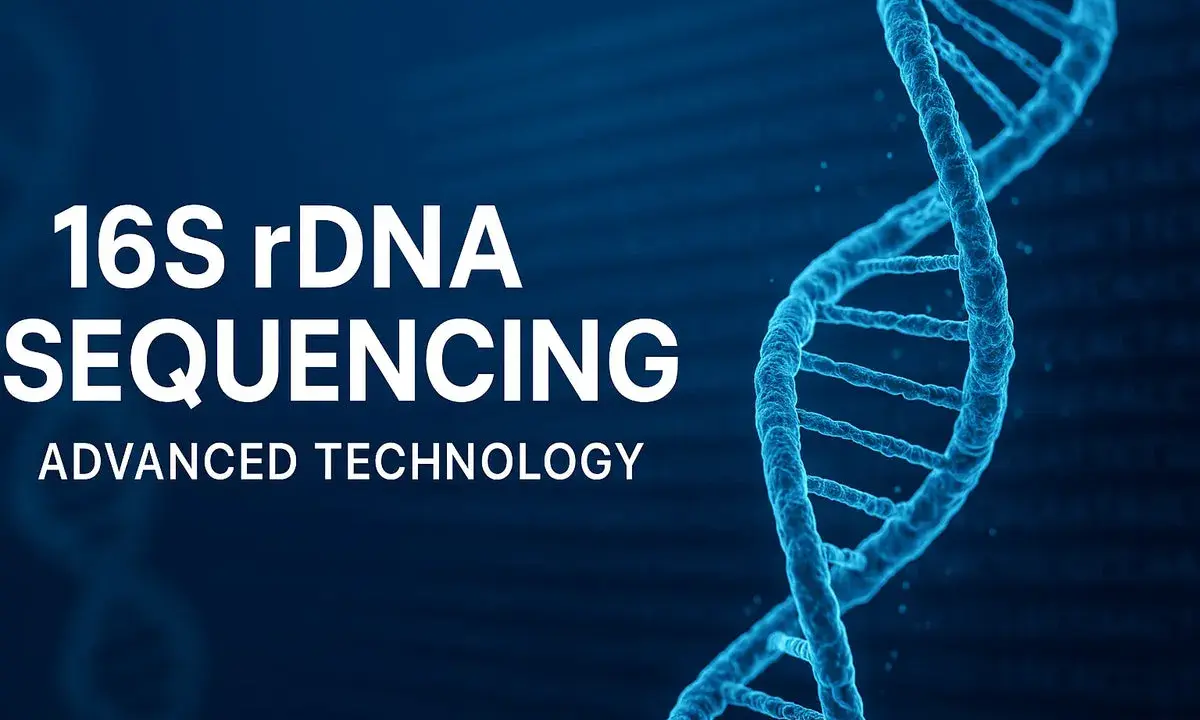 Sequenziamento del gene 16S rDNA, una tecnologia avanzata che svela i segreti del DNA.