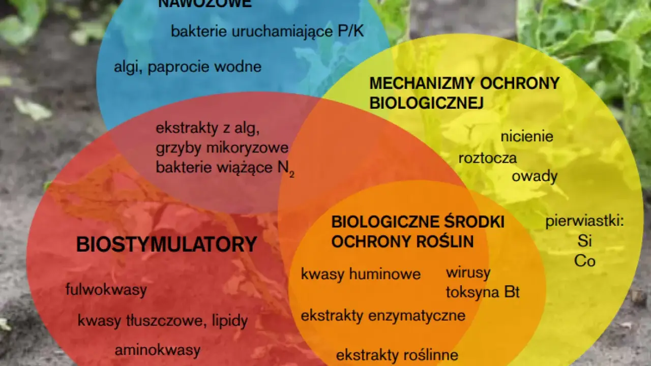 Wyjaśnij OZE: Od definicji po dotacje Twój przewodnik