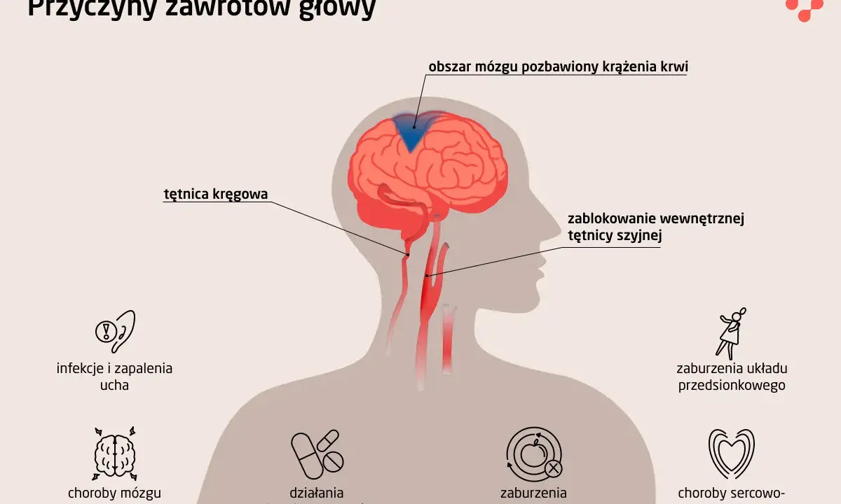 Zablokowanie tętnicy szyjnej lub kręgowej może prowadzić do niedotlenienia mózgu, powodując zawroty głowy. Inne przyczyny to choroby mózgu, ucha, zaburzenia metaboliczne, sercowo-naczyniowe, leki i układu przedsionkowego.