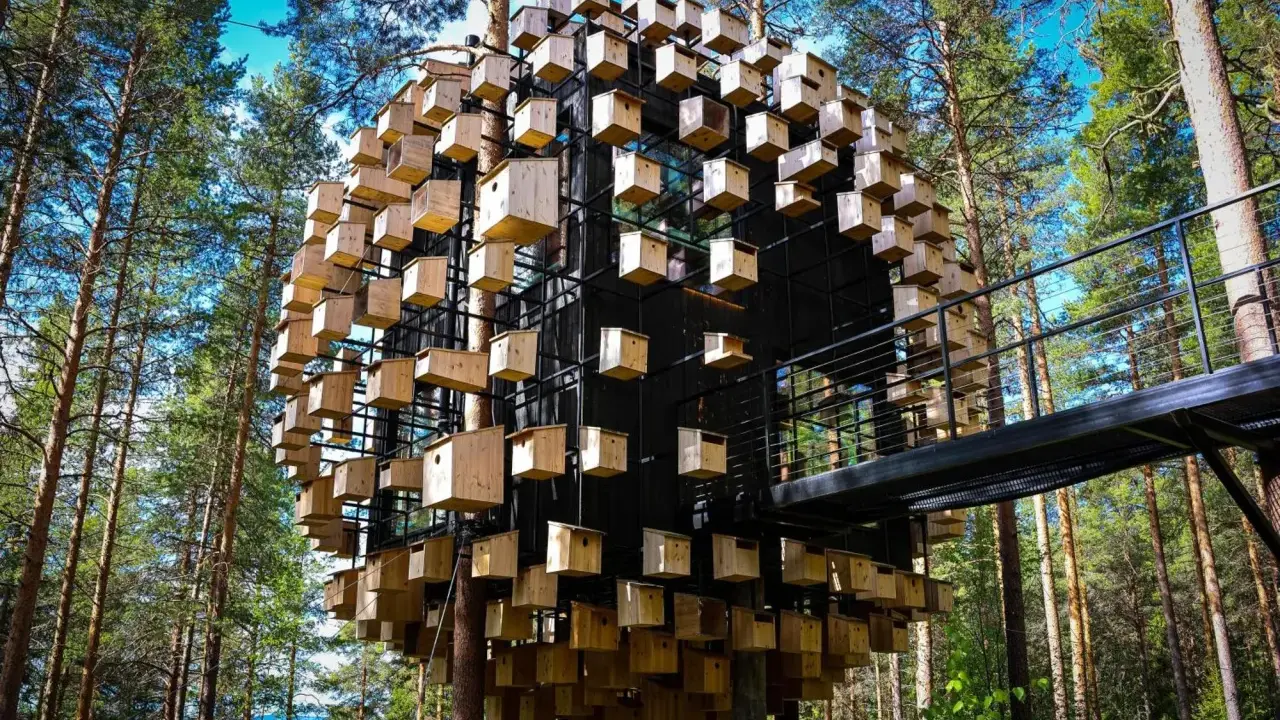 Treehotel Sweden: en sfärisk byggnad täckt av fågelholkar, omgiven av tallskog. En gångbro leder till den unika arkitekturen.