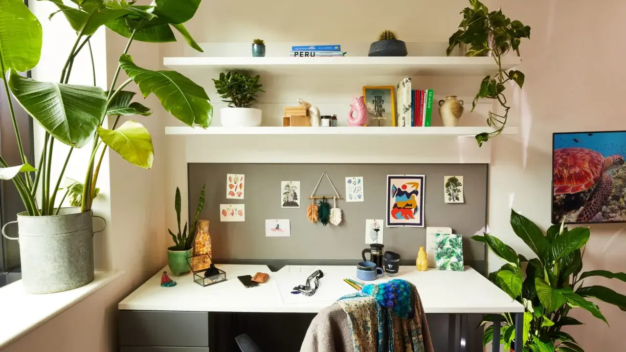 Escritorio de una habitación de estudiante con plantas, libros y arte en la pared. Un espacio acogedor y organizado para el estudio.