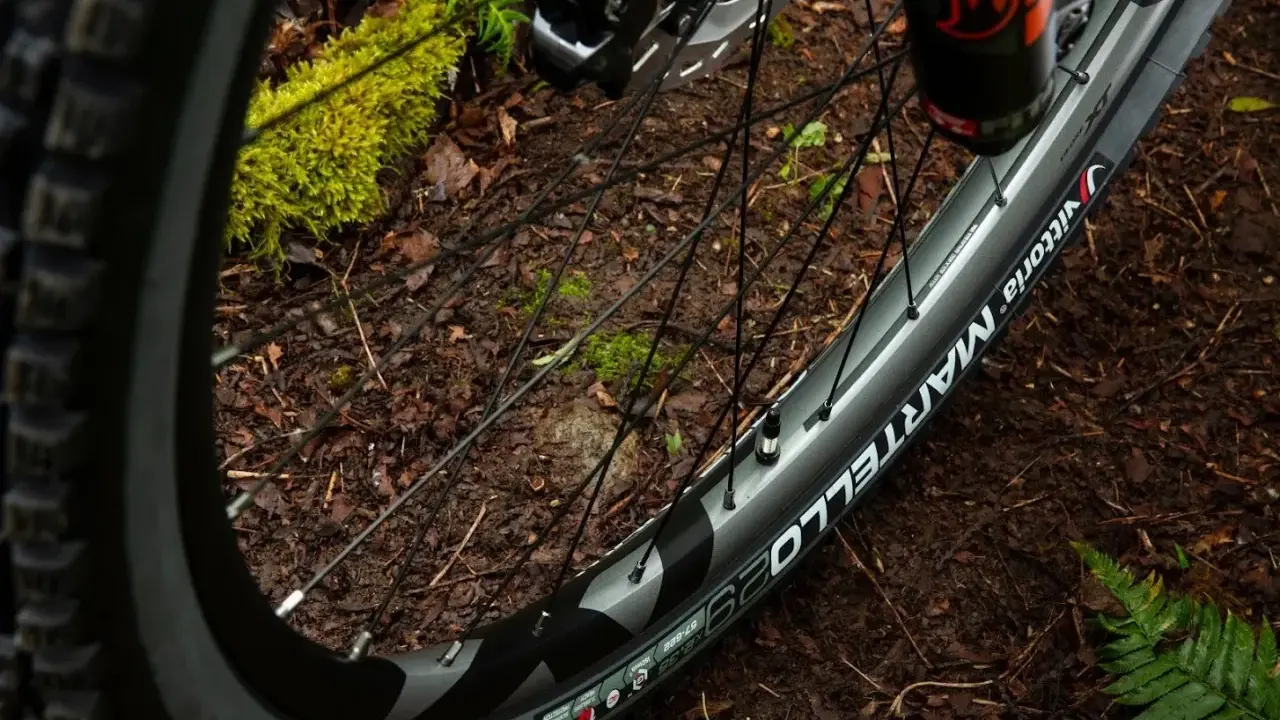 Koło rowerowe 700x25c z oponą Vittoria Martello na leśnej ścieżce.