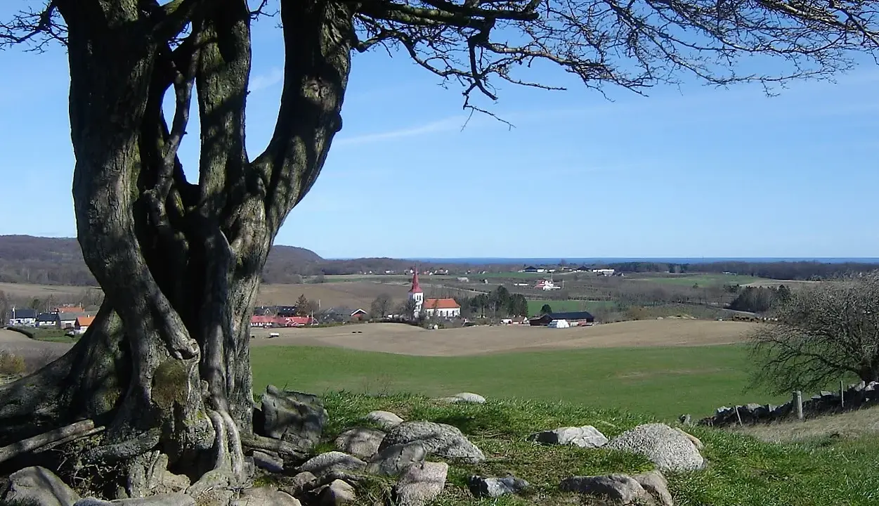 Vacker vy över Skåne Tranås med en kyrka och böljande fält. Ett gammalt träd dominerar förgrunden.