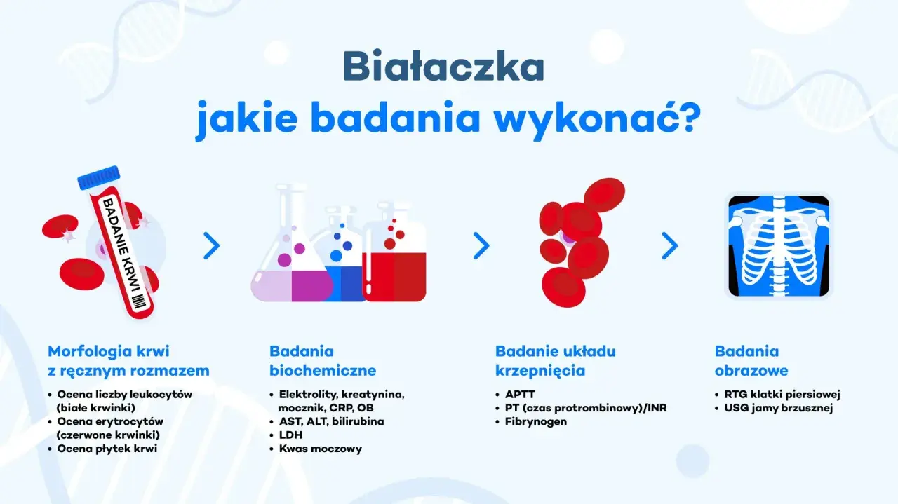 Białaczka: jakie badania wykonać? Schemat przedstawia morfologię krwi, badania biochemiczne, krzepnięcia i obrazowe.