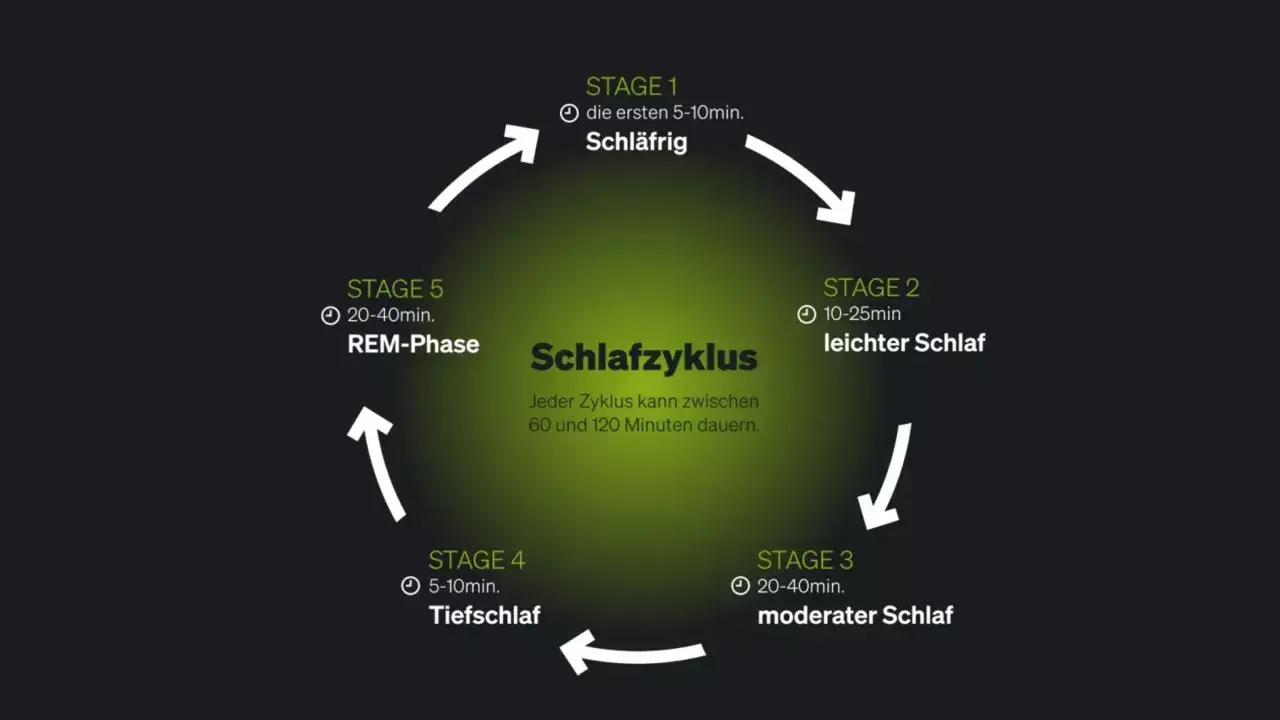 Schema des Schlafzyklus mit Phasen: Schläfrig, leichter Schlaf, moderater Schlaf, Tiefschlaf und REM-Phase. Ein Zyklus dauert 60-120 Minuten.