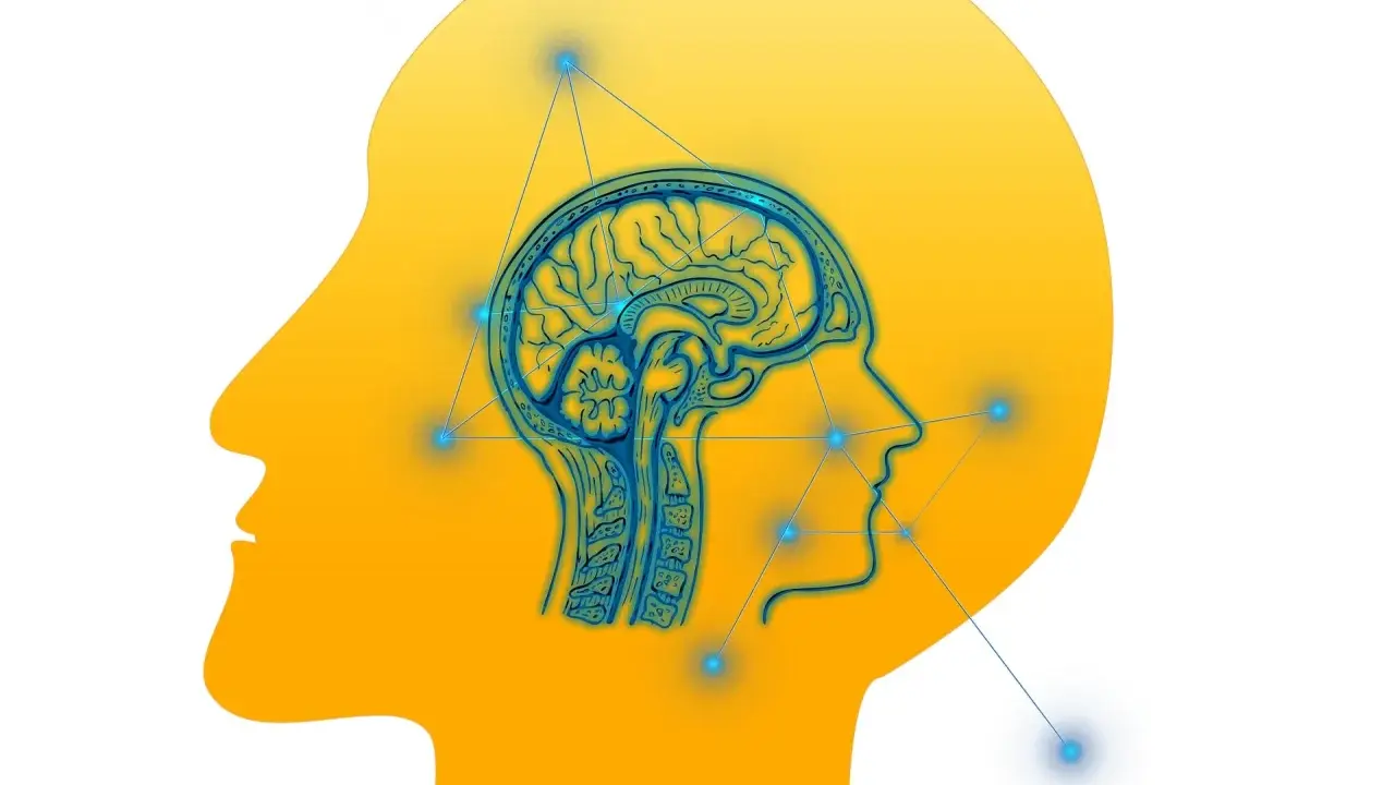 Cerebro humano con conexiones neuronales, representando el trastorno procesamiento auditivo.
