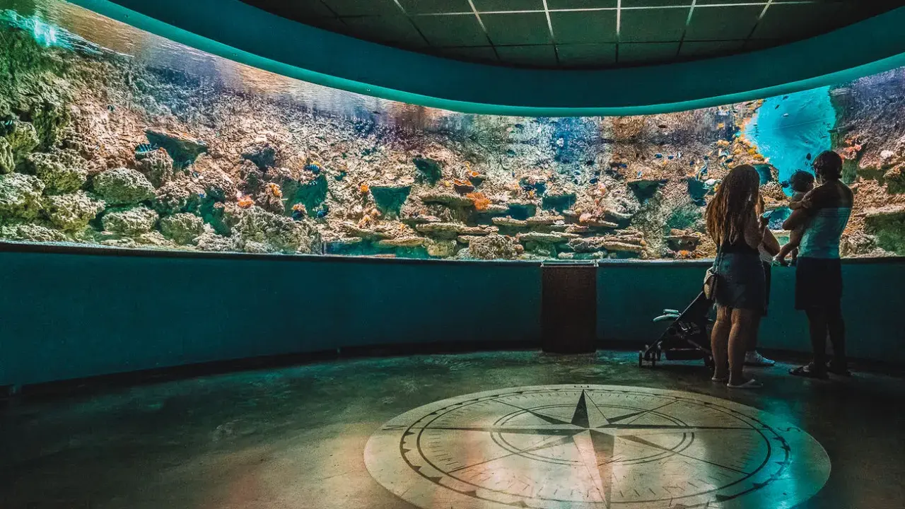 Familia admira un acuario con corales y peces. Una actividad ideal que ver en Sevilla con niños.