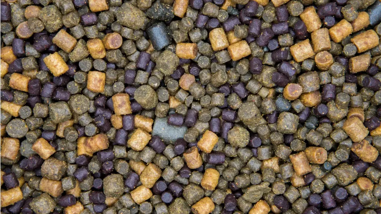 Zbliżenie na mieszankę zanęty na karpia 10 kg. Granulki w kolorach brązowym i fioletowym tworzą bogatą kompozycję.