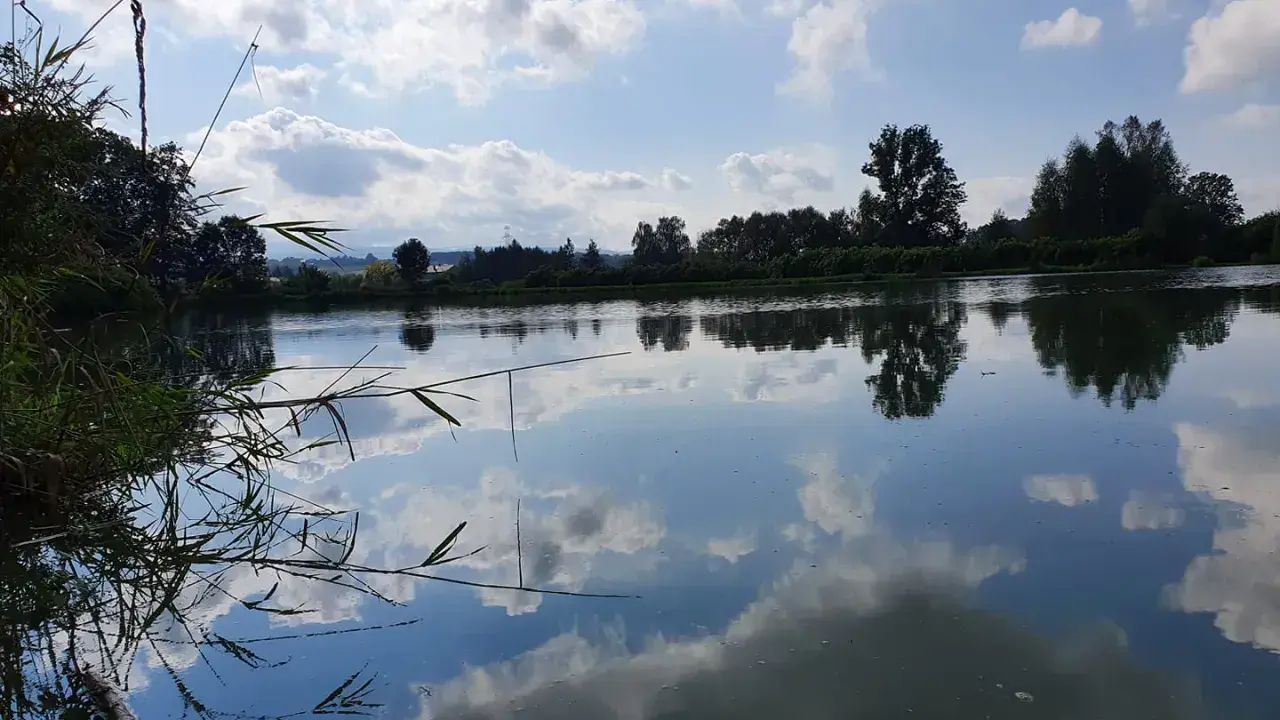 Spokojne jezioro w Czechowicach-Dziedzicach odbija błękitne niebo z chmurami.